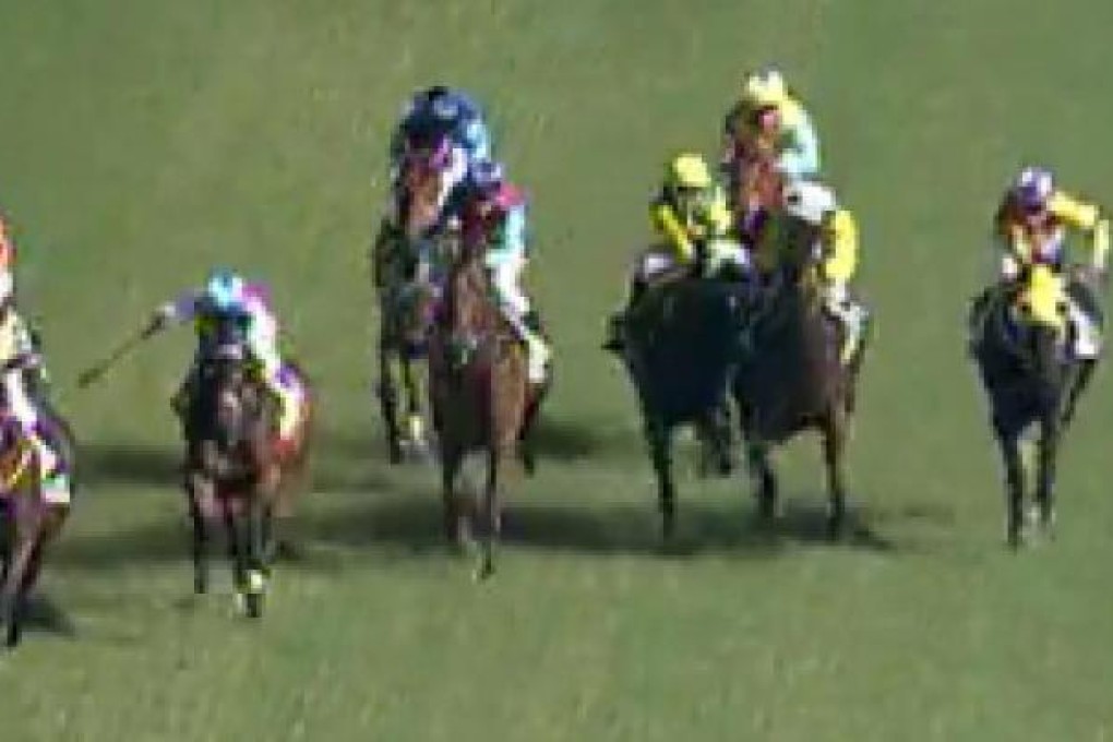 Intellectualstride tries to bite jockey Tim Clark after being struck on the face in this screen grab from the race video.