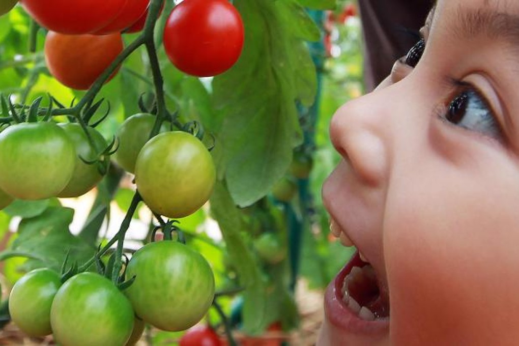 Children are more likely to take an interest in fruit and vegetables if they have been involved in growing them. Photo: Felix Wong