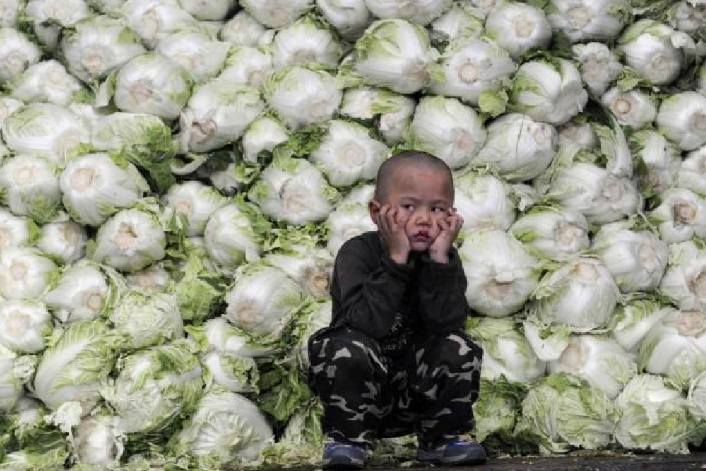 Prices of vegetables like these Zhejiang cabbages grew only marginally last month, helping to keep inflation at 1.7 per cent. Photo: Reuters