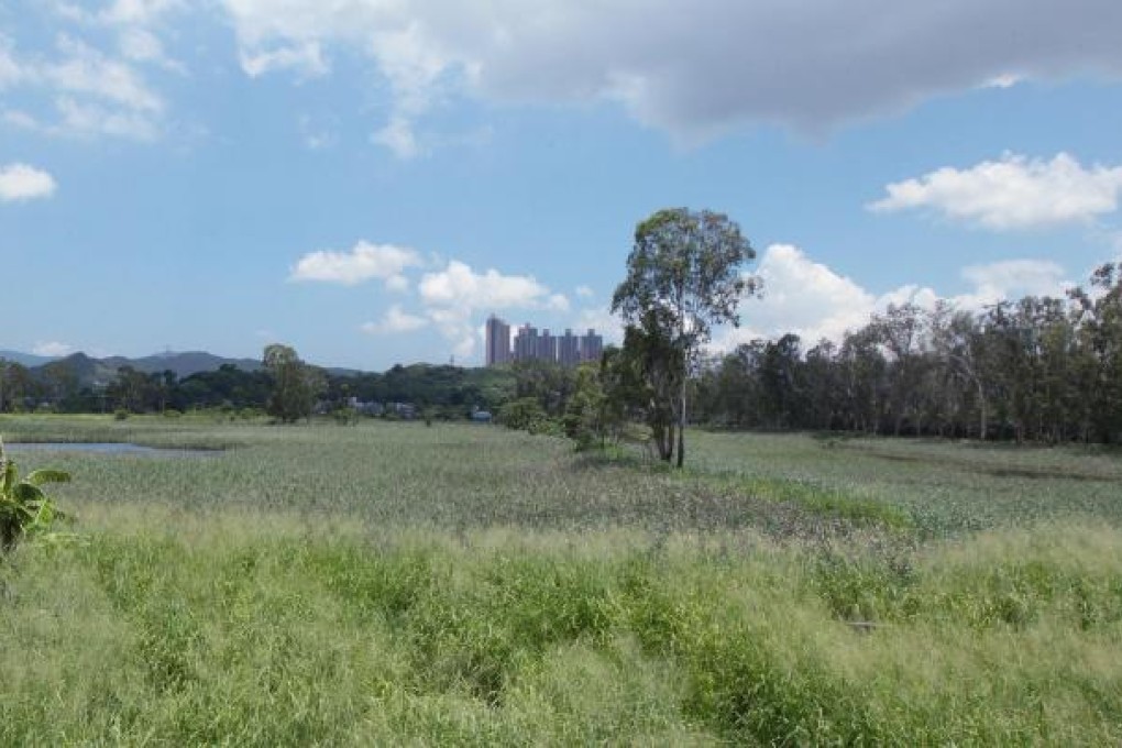 Developers have plans for Nam Sang Wai. Photo: K. Y. Cheng