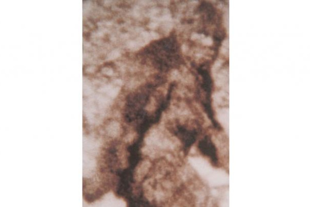 What some believe to be a female Bigfoot. Photo:AP