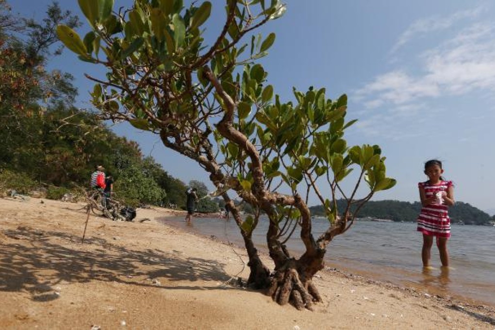 We need to find out how it is possible that despite rigorous due process we are to develop an artificial beach on top of ecologically valuable mud flats along the Ting Kok coast.