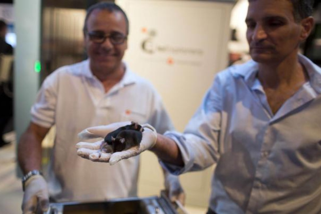 Developers, Eran Lumbroso (right) and Israel Alva from the Bio Explorers Company with their detector mice. Photo: AFP