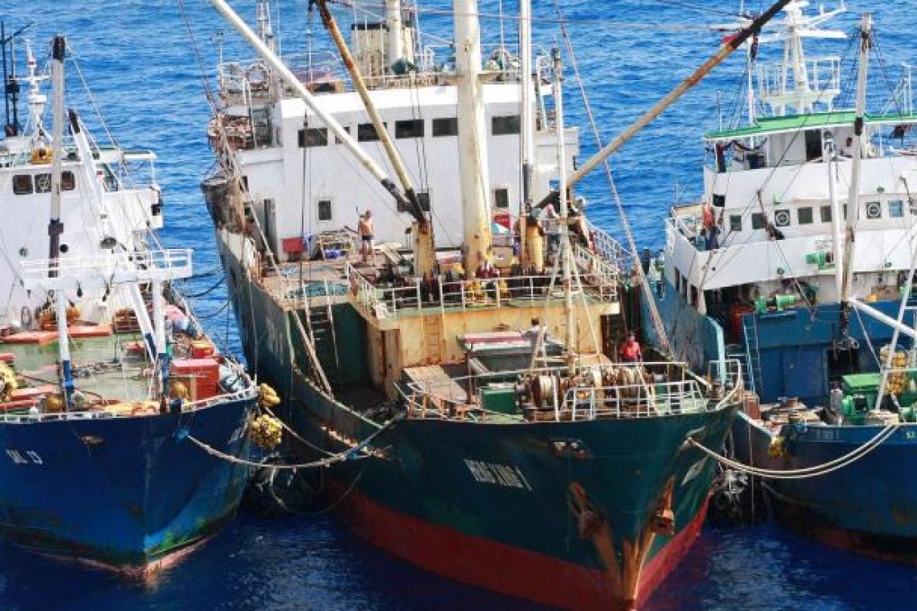 An illegal fish transfer takes place on the Heng Xing 1. Photo: AFP