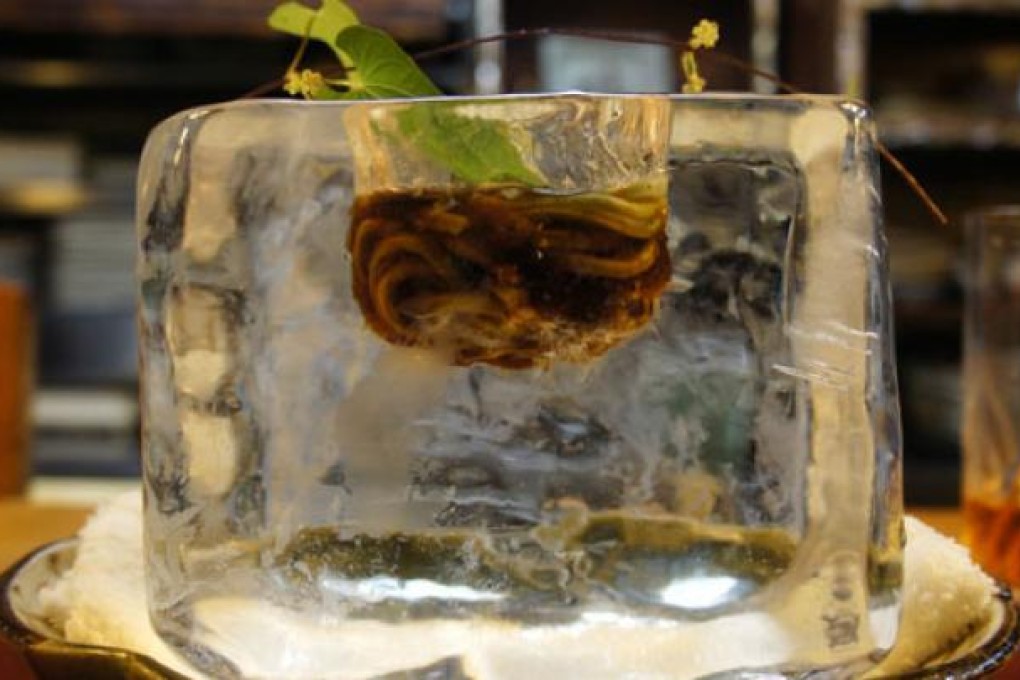 Cold buckwheat noodles with braised herring inside a huge ice cube , served at Tempura Matsu in Kyoto.