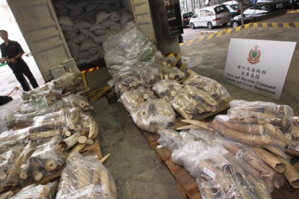 More smuggled ivory seized in Hong Kong | South China Morning Post