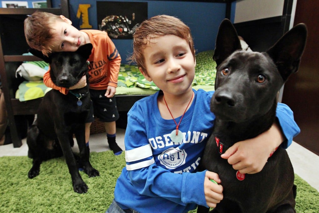 Hugo (front) and Maximo Serrano-Chan play with Fung Fung (blue collar) and Mora.Photo: Nora Tam