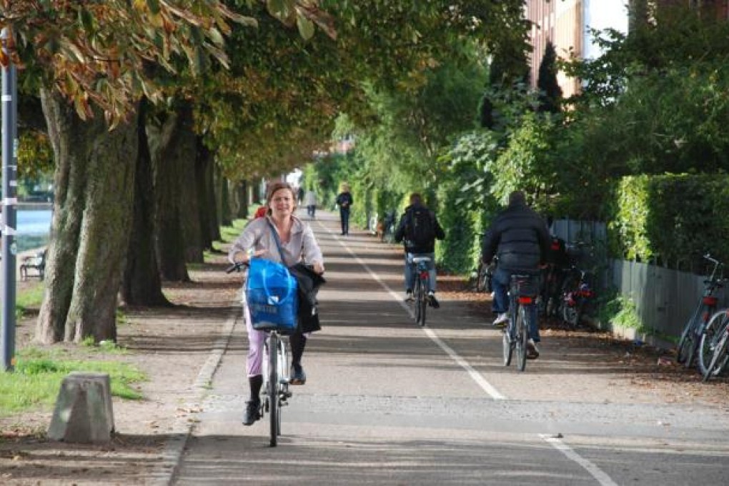 Denmark is said to have most if not all of the social, political and economic institutions a developed country can desire. Photo: AFP