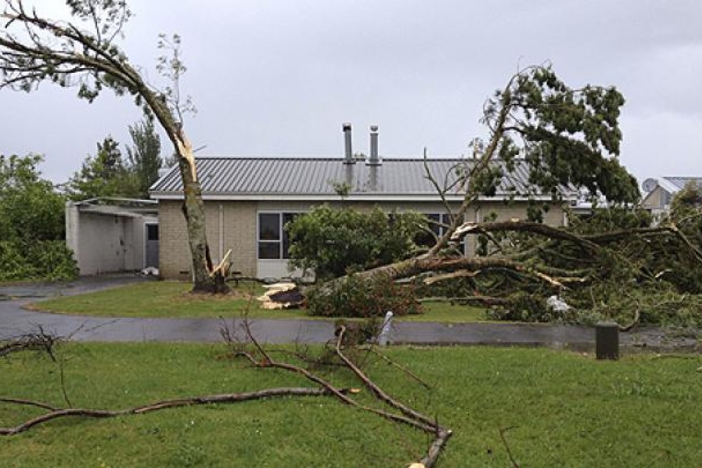 A tornado rips a tree apart in Auckland, New Zealand. Photo: AP