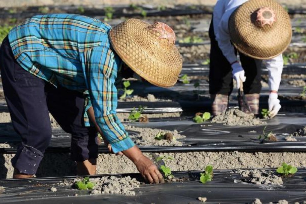 Rural migrants earn less and have less job security. Photo: Xinhua