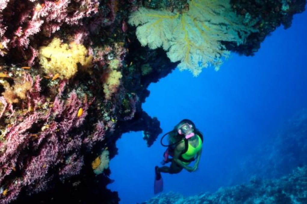 Great Barrier Reef. Photo: SCMP
