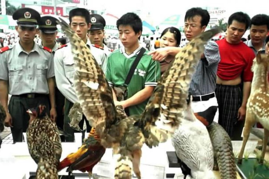 Officials use stuffed birds and animals to educate Guangzhou people about wildlife. Photo: Xinhua