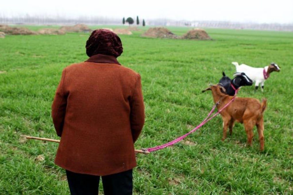Policies aimed at improving food security were mapped out at the Central Rural Work Conference over the weekend. Photo: AFP