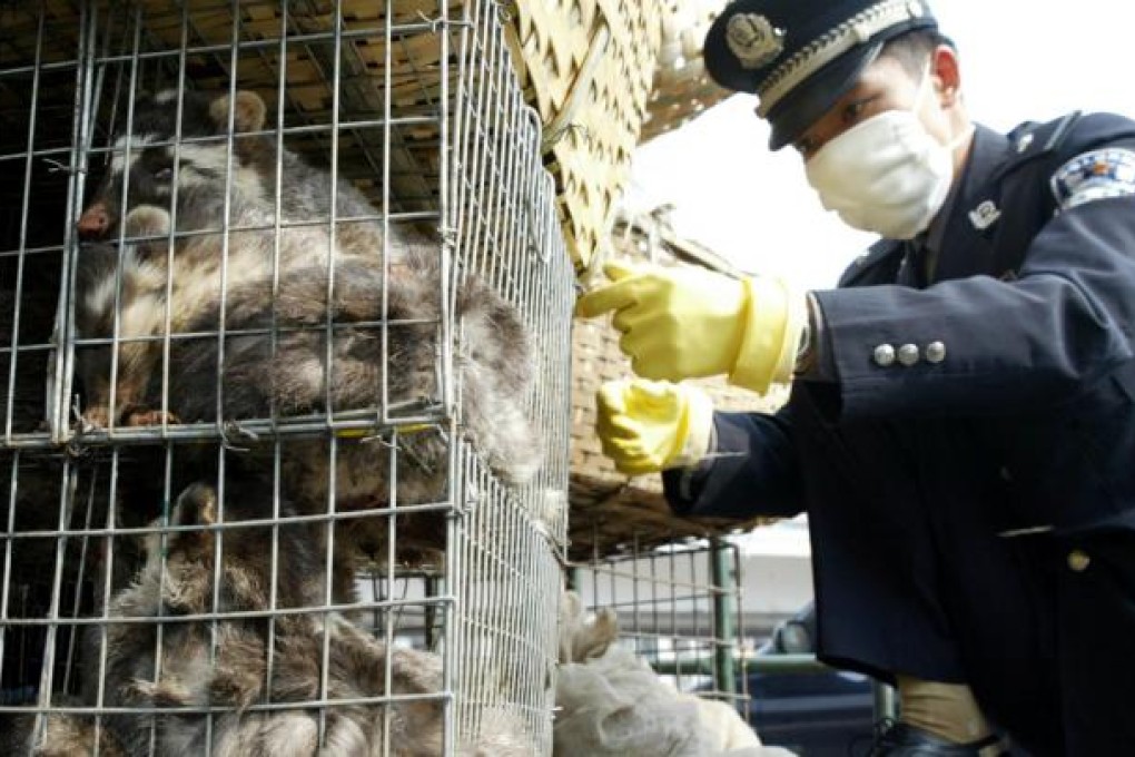 Wildlife market in China. Photo: Reuters