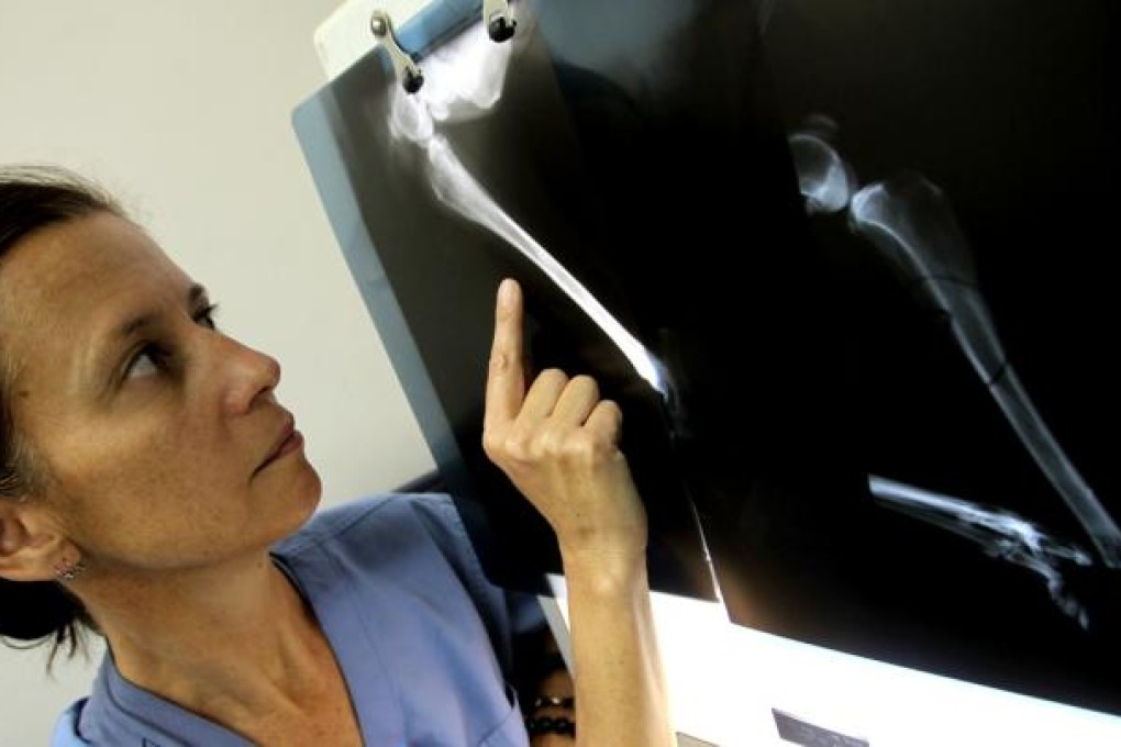 Dr Jane Gray, chief veterinary surgeon for the Society for Prevention of Cruelty to Animals (SPCA). Photo: David Wong