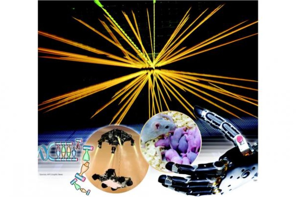 Finding the Higgs boson, and the year's other triumphs