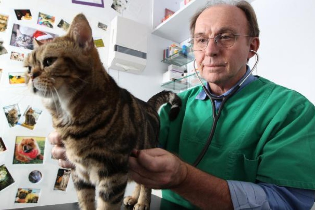 Dr Tom Mangan, president of the Hong Kong Veterinary Association, says high rents and a nursing shortage mean high fees. Photo: Dickson Lee