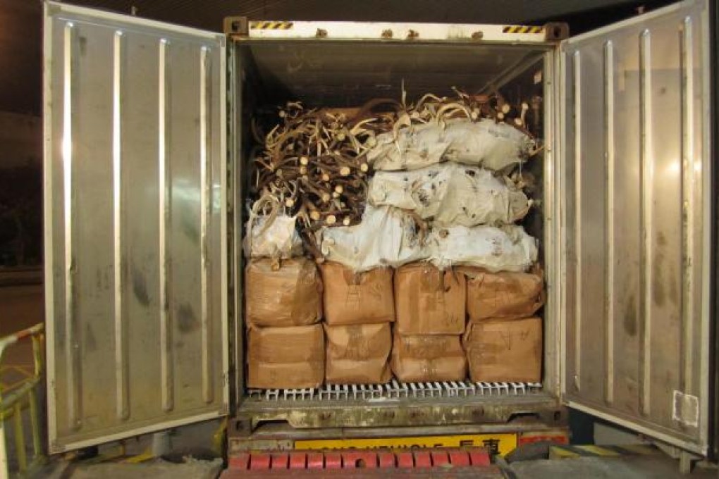 Customs seized a container of health food, dried seafood and meat of endangered species worth HK$8 million at Lok Ma Chau control point.
