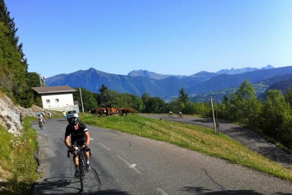 Cows graze on the grass verge of a hairpin bend as the riders push on uphill. Photos: Pat Fitzpatrick