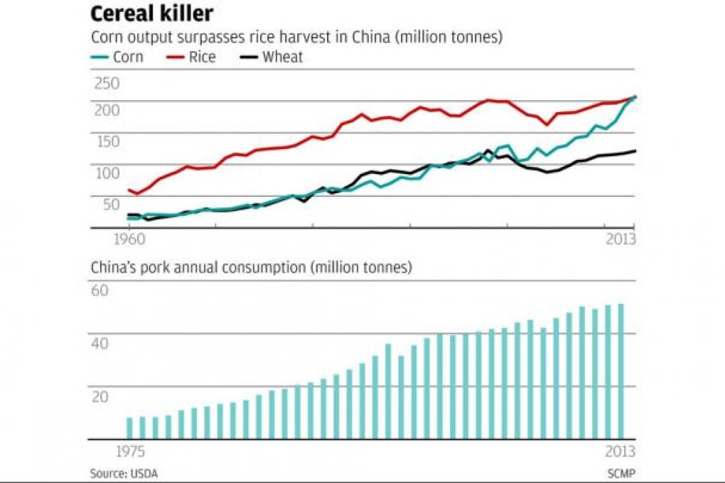 Corn overtakes rice as diners continue to move to meat