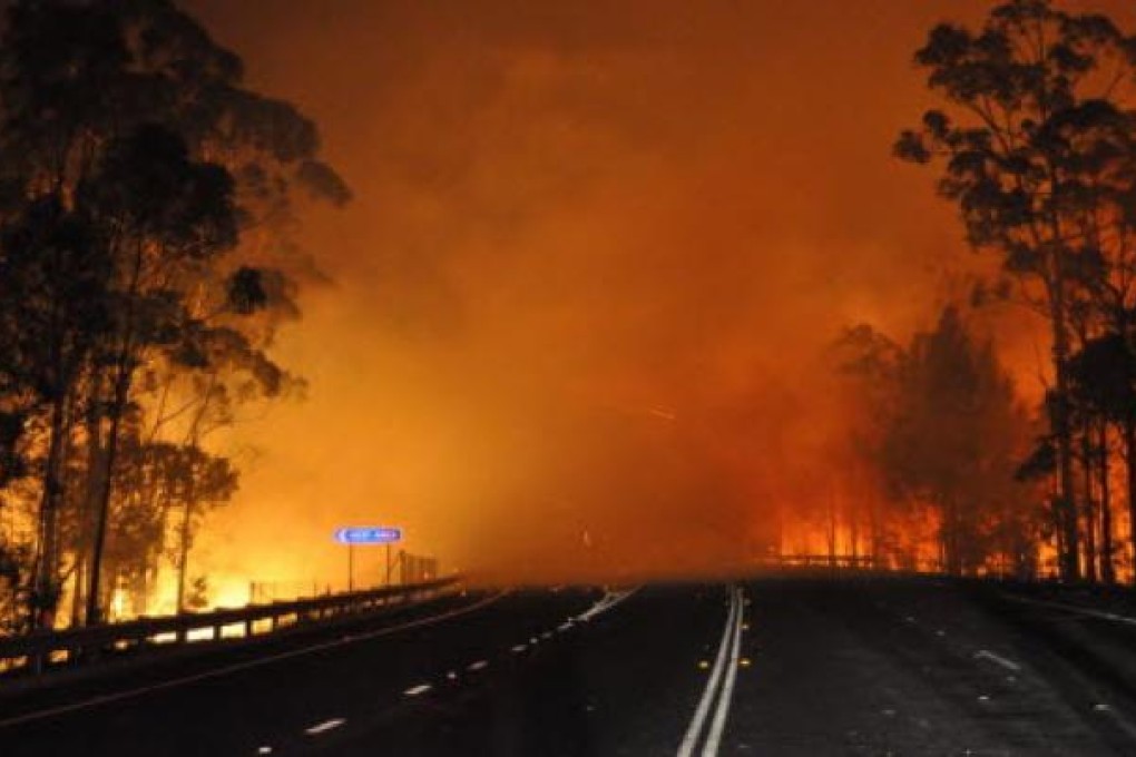 A wildfire near Deans Gap, Australia, crosses the Princes Highway in New South Wales. Photo: AP