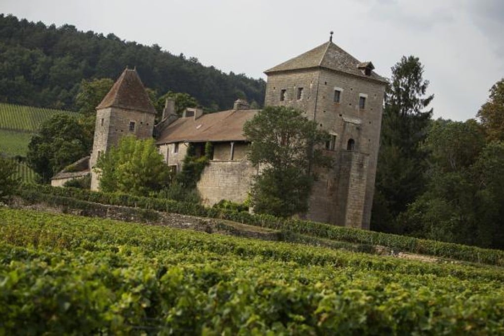 The Gevrey-Chambertin castle amid the vinyards in Burgundy, France. Photo: AP