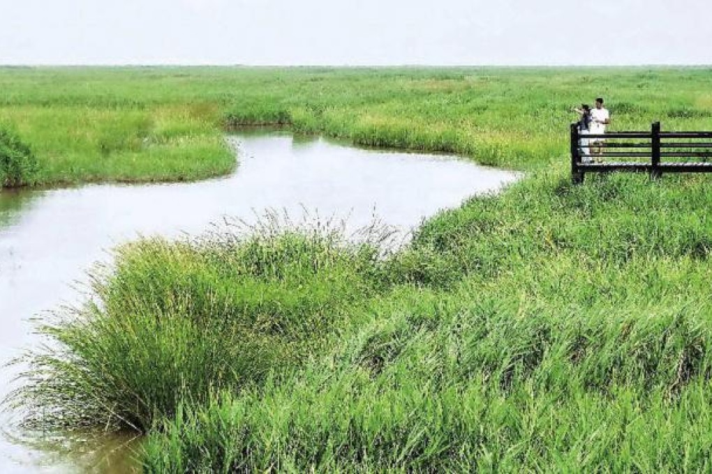 Chongming Island is home to more than 300 species of birds.