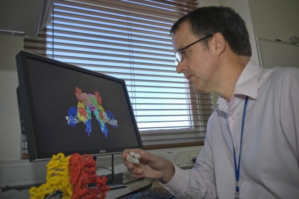 Lead researcher and Associate Professor Mike Lawrence examining modes for docking insulin into a three-dimensional structure of the human insulin receptor ectodomain in Melbourne. Photo: AFP