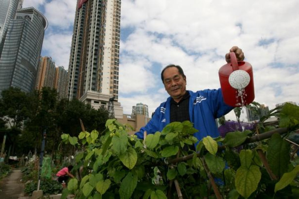 Recycled water can be used for plants. Photo: K.Y. Cheng