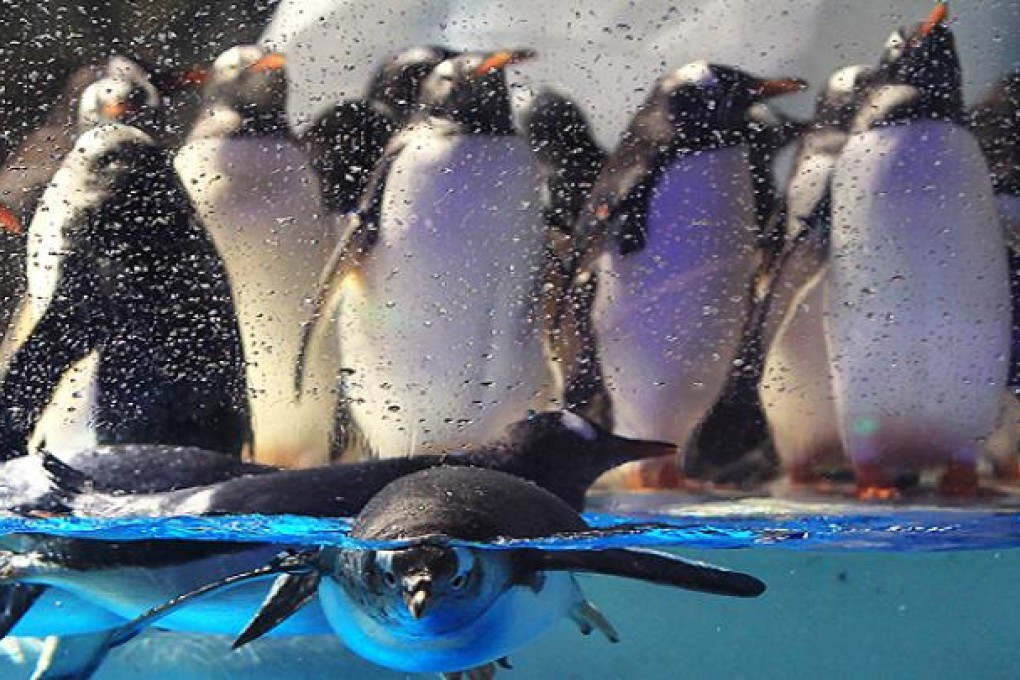 Photo: Jonathan Wong