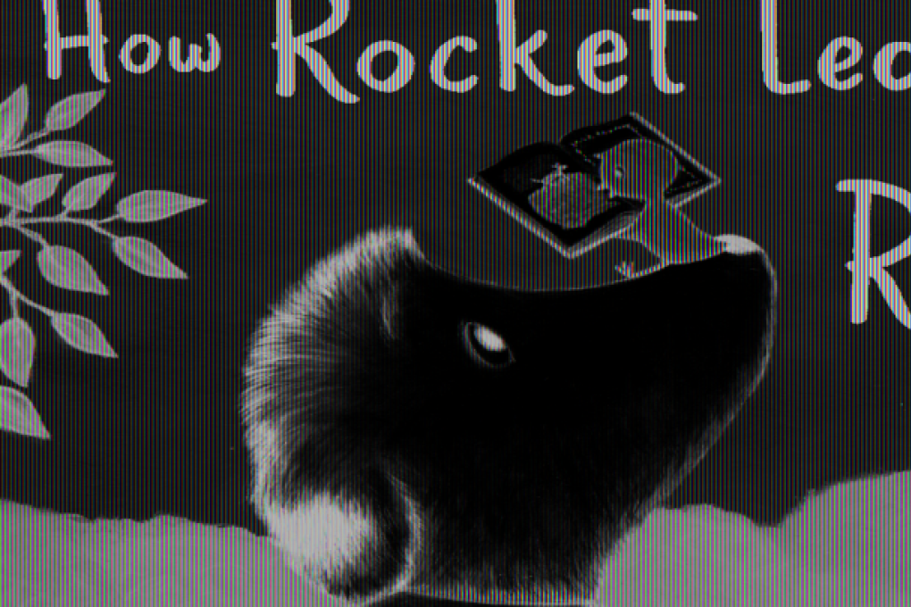 Quickly or slowly, the road to reading has its bumps