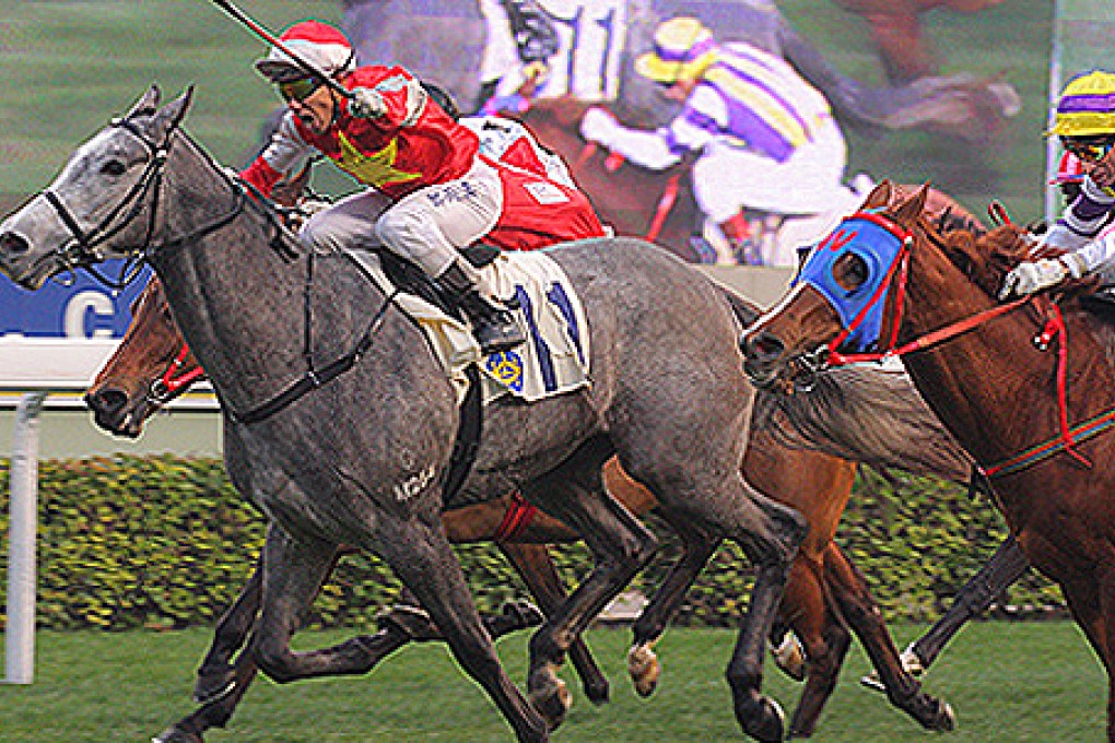 Wah May Star has proven form over the shorter trips. Photo: Kenneth Chan