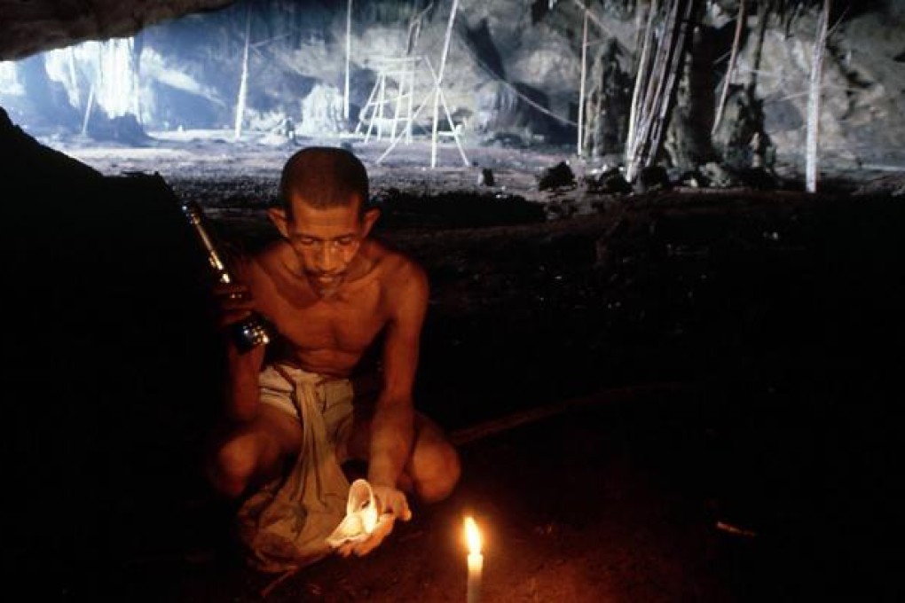 Edible nests are collected on Ko Phi Phi, Thailand. Photo: Corbis