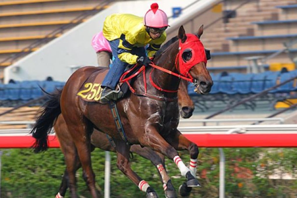 Fat Choy Oohlala in action during a barrier trial at Sha Tin last October. Photo: Kenneth Chan