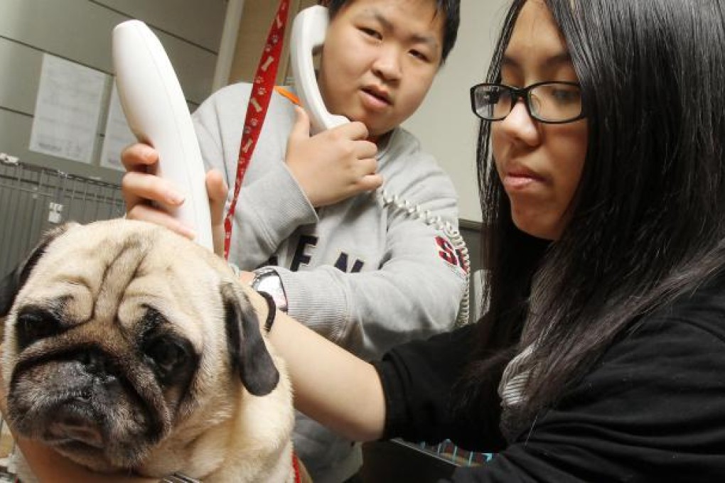 William Tang (left) and Tsz Wai at the Chinese Evangelical Zion Church's youth employment and training centre. Photo: Edward Wong