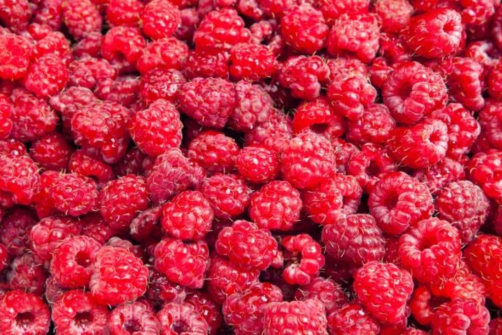 Raspberry ketone is the primary aromatic compound of red raspberries.