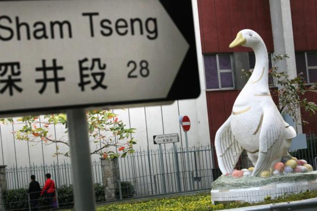 The Sham Tseng goose could be about to have its beak changed and its neck lengthened. Photo: May Tse