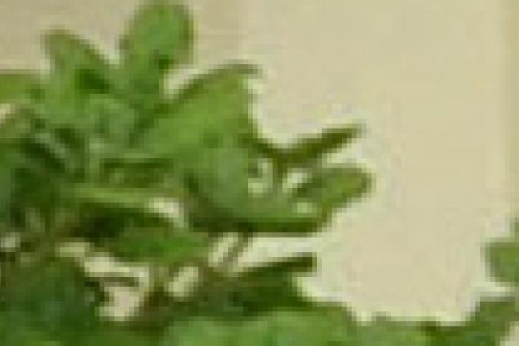 A Sino-US relationship that competes on values