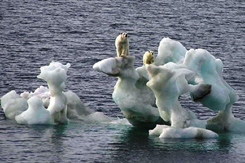 Global warming is melting the ice of the Arctic and Antarctic with dire consequences for wildlife such as the polar bears. Photo: AP