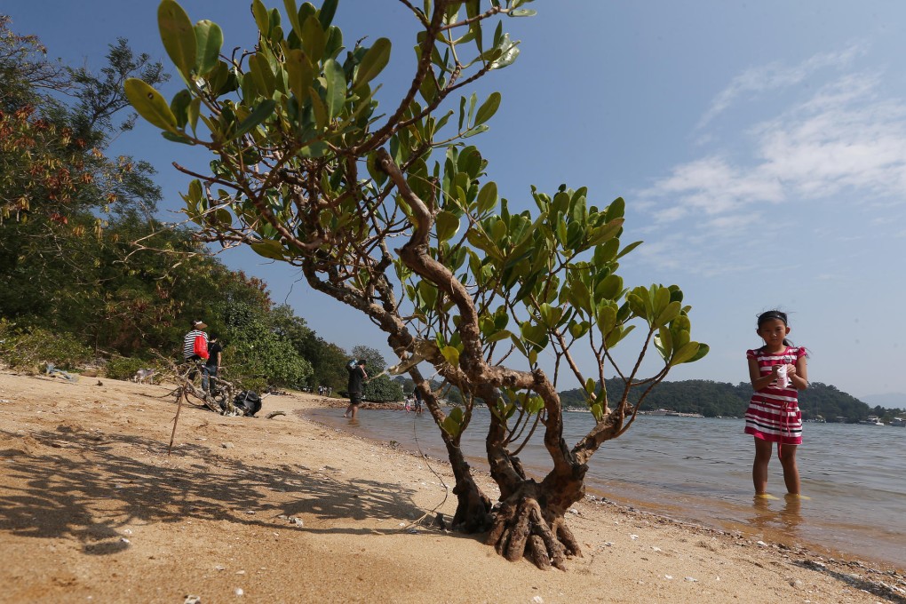 Lung Mei, a marine life haven