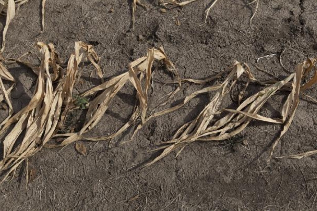 Warming induced by carbon emissions is expected to accompany a rise in droughts in the future. Photo: NYT