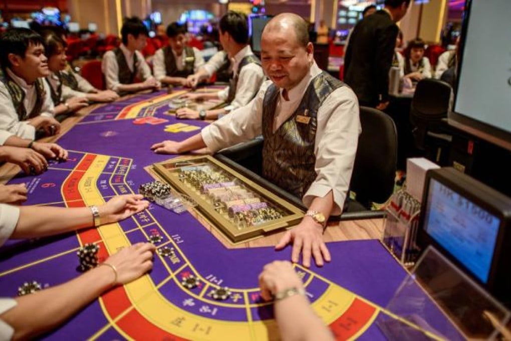 Macau gaming stocks plunged after a media report warned of an impending crackdown on VIP junket operators.