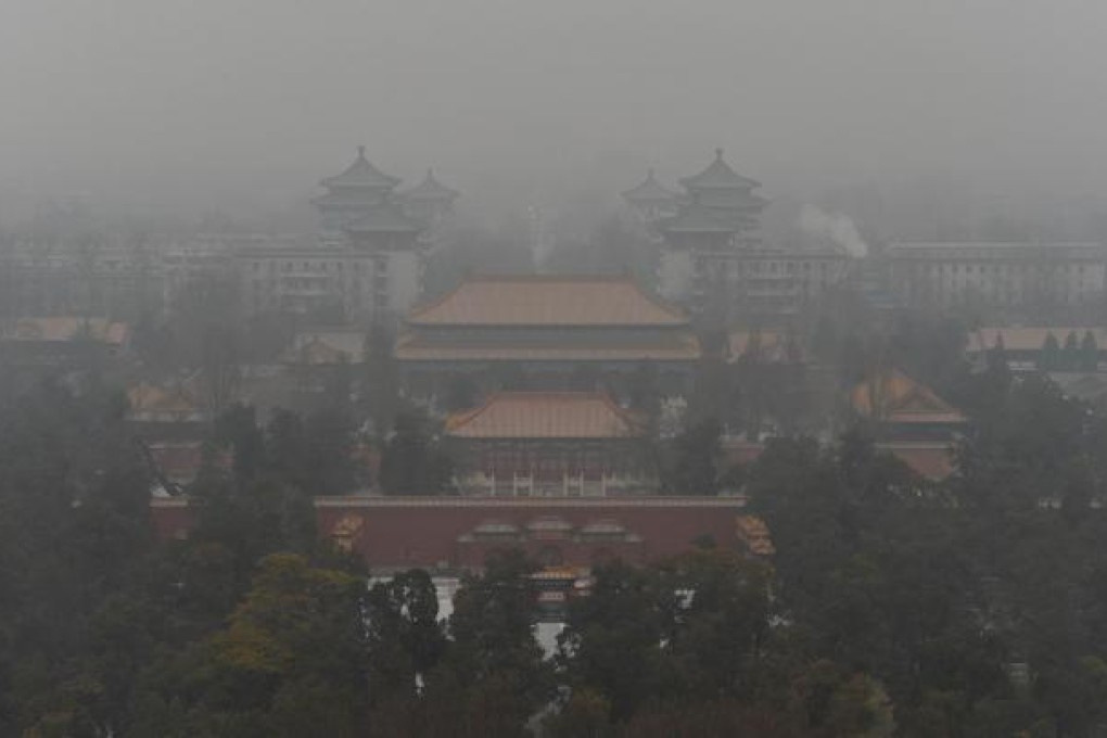Cactus needles give clues on how to battle smog