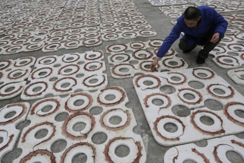A snake farmer checks the snakes being air-dried in Zisiqiao village, Zhejiang Province. Photo: AP