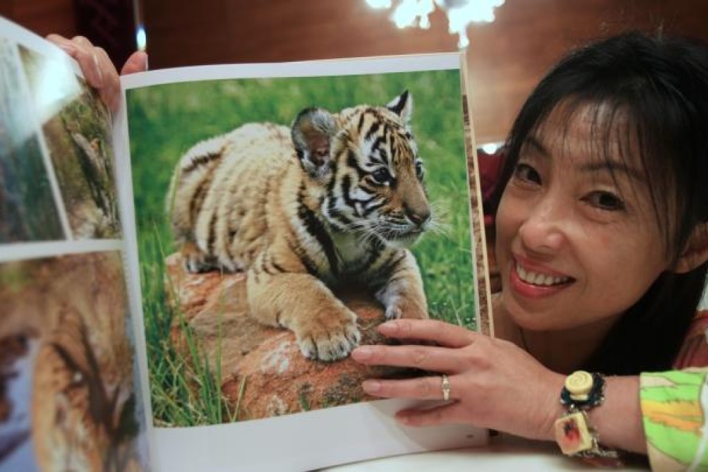 Portrait of Save China's Tigers founder Quan Li. Pictures taken in Causeway Bay. Photo: Jonathan Wong