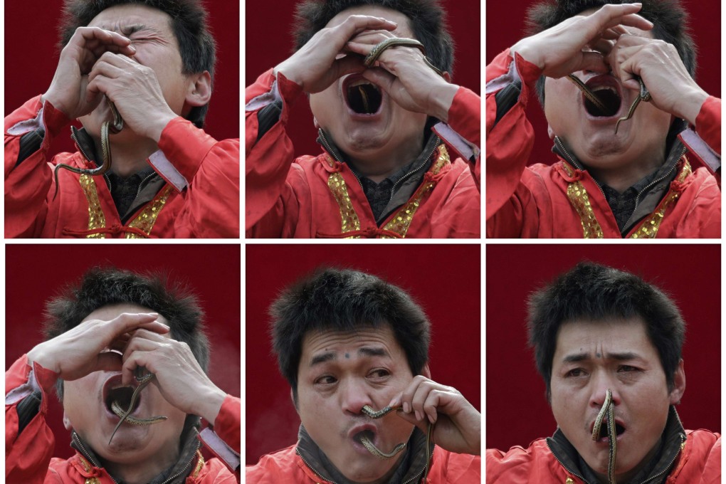 CLICK TO ENLARGE: A performer inserts a live snake through his nose and mouth during a performance at the Ditan Temple Fair. Photo: Reuters