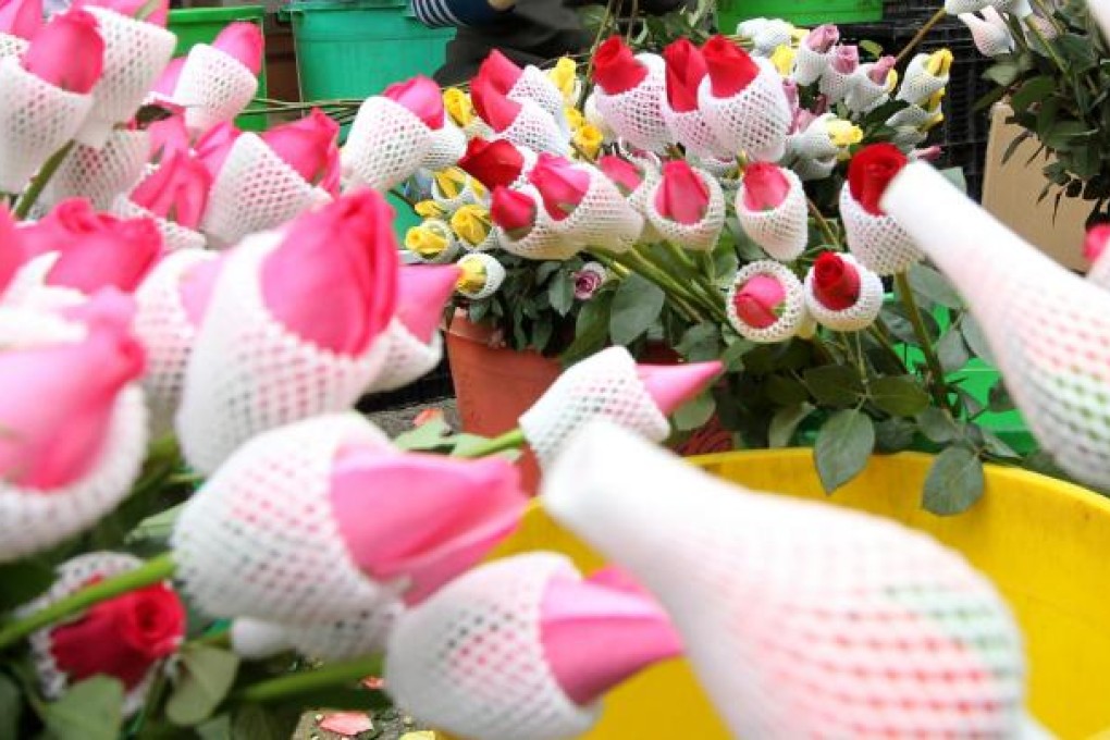 World gets in the mood for love