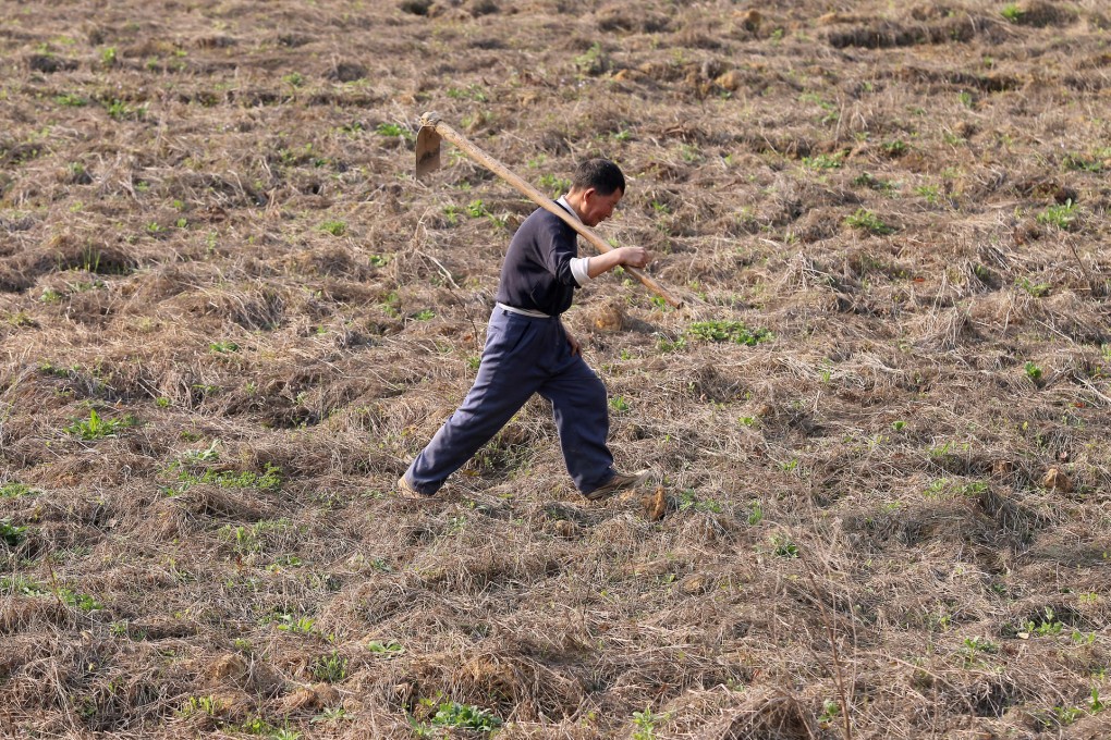 Farmland in Hunan deserted because of heavy metal pollution. Photo: Simon Song