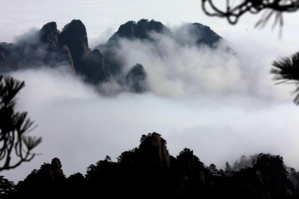 Nature offers solace in poet Bai Hua's anthology,Wind Says. Photo: Xinhua