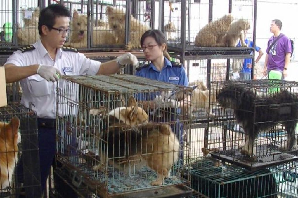 Animal welfare groups claim the government's plans to introduce dog breeding licences won't protect animals. Photo: SPCA